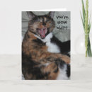 Search for antique cat cards Funny