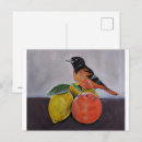 Search for oriole postcards Fruit