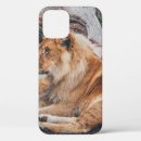 Search for lioness iphone cases Nature