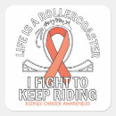 Search for kidney cancer awareness stickers Orange