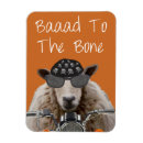 Search for bones magnets Animals