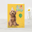 Search for goldendoodle birthday cards Pets