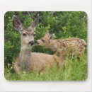 Search for refuge mousepads Superstock