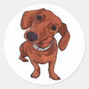 Search for dog owners stickers Pet