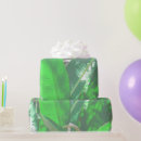 Search for banana leaf wrapping paper Plant
