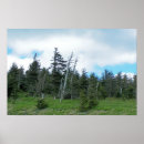 Search for southern art North carolina