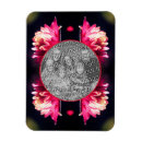 Search for sunlight magnets Flower