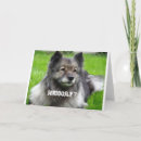 Search for keeshond cards Photography