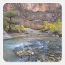 Search for chuck gift wrap Fall
