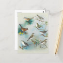 Search for warbler postcards Animal