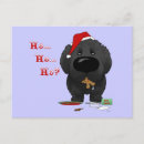 Search for newfoundland dog cards Pets
