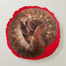 Search for coiled Serpent