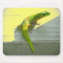 Search for gecko mousepads Nature