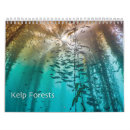 Search for kelp Kelp forest