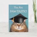 Search for cat graduate cards Kitty