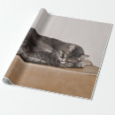 Search for cute cats wrapping paper Kitty