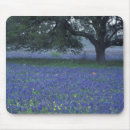 Search for bonnet mousepads Blue