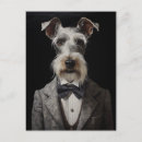 Search for schnauzer postcards Dogs