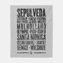 Search for los angeles Venice beach