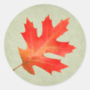 Search for oak leaf stickers Nature