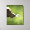 Search for enjoyment canvas prints Vertical