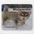 Search for sporting dog mousepads Snow