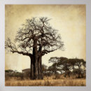 Search for baobab tree art Trees