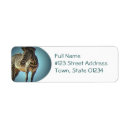 Search for zebra return address labels Wild animal