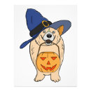 Search for cute wizard posters Pumpkin