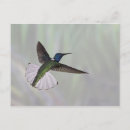 Search for necks postcards Wildlife