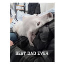 Search for white dog posters Cute