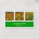 Search for schools photocards Modern