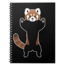 Search for red panda notebooks Bear