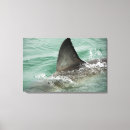 Search for midsection canvas prints Horizontal