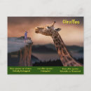 Search for giraffe drawing postcards Neck