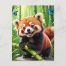 Search for cute panda postcards Adorable