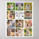 Search for rainbow bridge cat posters Remembrance