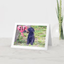 Search for black lab photography Puppy