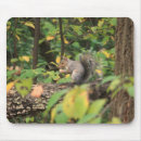 Search for squirrel mousepads Forest