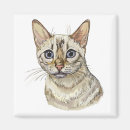 Search for bengals magnets Animal