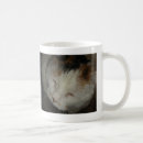 Search for calico cats mugs Cute cat