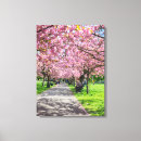 Search for cherry blossom canvas prints Floral