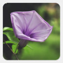Search for green background stickers Nature