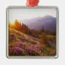 Search for meadow christmas tree decorations Beauty
