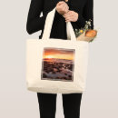 Search for tide pool accessories Coast