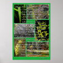 Search for religous posters Psalms