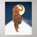 Search for big cat posters Mountain lion