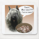 Search for bouvier electronics Des