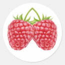 Search for raspberry fruit stickers Fresh