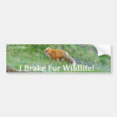 Search for fox bumper stickers Red foxes